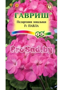 Пеларгония зональная F1 Павла