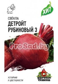 Свекла столовая Детройт рубиновый 3