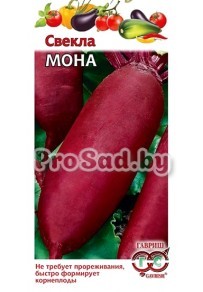 Свекла столовая Мона