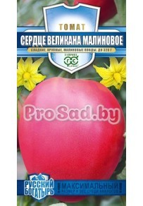Томат Сердце великана Малиновое