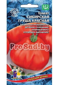 Томат Сибирская груша Красная