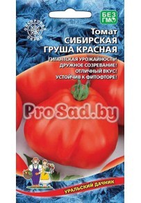Томат Сибирская груша Красная