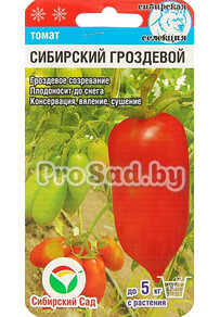 Томат Сибирский гроздевой