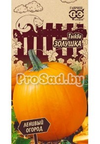 Тыква Золушка