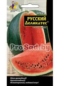Арбуз Русский деликатес