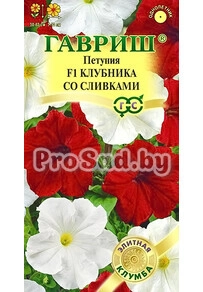 Петуния ампельная F1 Клубника со сливками