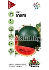 Арбуз Огонёк