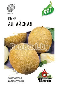 Дыня Алтайская