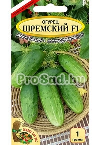 Огурец F1 Шремский (Польша)