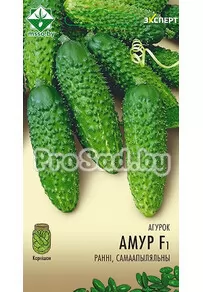 Огурец F1 Амур (Голландия)
