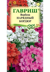 Вербена низкорослая Нарядный Бордюр, смесь