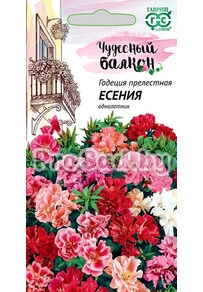 Годеция махровая Есения, низкорослая смесь
