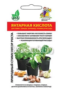 Янтарная кислота