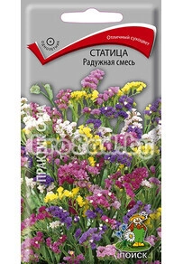 Статица Радужная, смесь