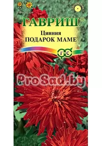 Цинния изящная Подарок маме
