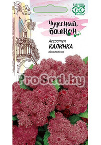 Агератум Калинка