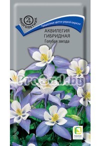 Аквилегия гибридная Голубая звезда