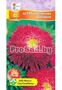 Астра Принцесса Сильвия