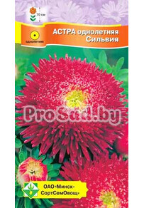 Астра Принцесса Сильвия