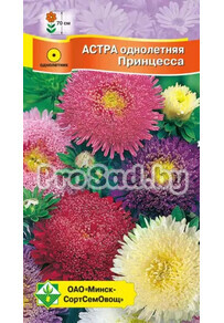 Астра Принцесса, смесь