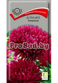 Астра Игл Эсмеральда