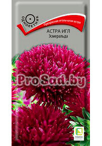 Астра Игл Эсмеральда