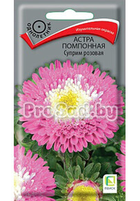 Астра помпонная Суприм розовая