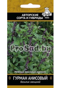 Базилик овощной Гурман анисовый