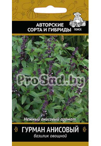 Базилик овощной Гурман анисовый