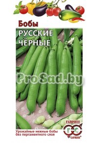 Бобы Русские чёрные