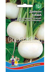 Дайкон Саша