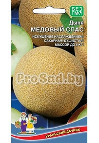 Дыня Медовый Спас