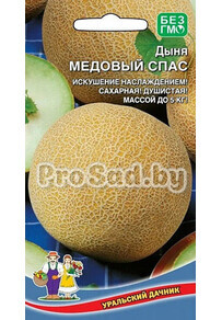 Дыня Медовый Спас