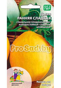 Дыня Ранняя сладкая