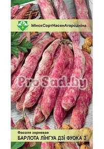 Фасоль зерновая Борлотто Лингуа ди Фуоко