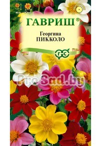 Георгина Пикколо, смесь