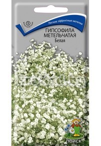 Гипсофила метельчатая Белая