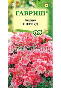 Годеция махровая Шервуд