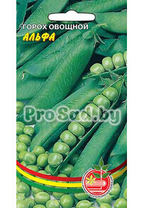 Горох овощной Альфа