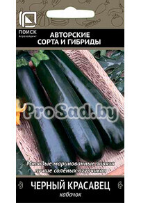 Кабачок Черный Красавец