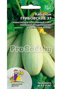 Кабачок Грибовские 37