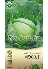 Капуста белокочанная F1 Фреско