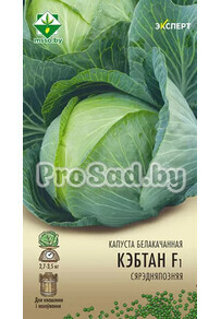 Капуста белокочанная F1 Кэбтон (Голландия)