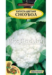 Капуста цветная Сноубол