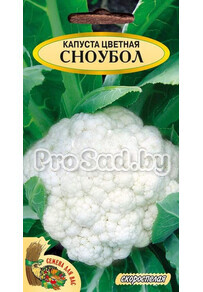 Капуста цветная Сноубол