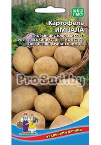 Картофель Импала