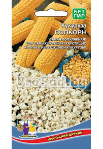 Кукуруза Попкорн