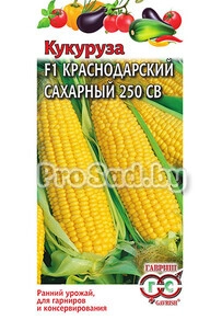Кукуруза F1 Краснодарский сахарный