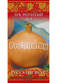 Лук репчатый Дед