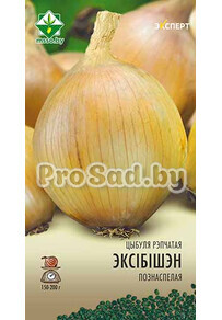 Лук репчатый Эксибишен